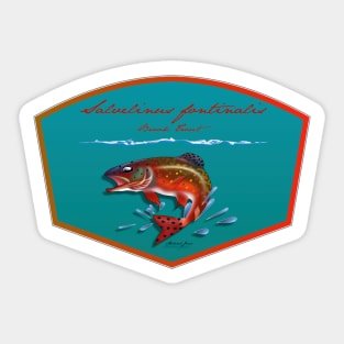 Salvelinus Fontinalis Sticker